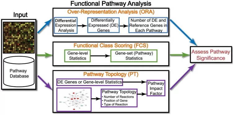 Overview of existing pathway analysis methods using gene expression data